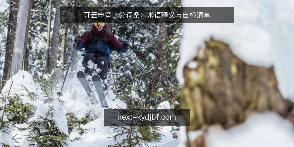 开云电竞比分词条：术语释义与自检清单 — 为什么现在需要核对术语 配图